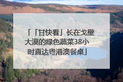 「甘快看」长在戈壁大漠的绿色蔬菜38小时直达粤港澳餐桌